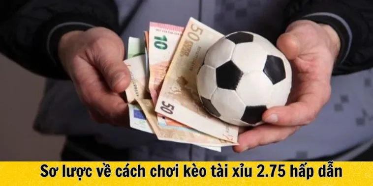 Giải Thích Kèo 2.75 Trong Bóng Đá Cách Đọc Tài Xỉu Chuẩn