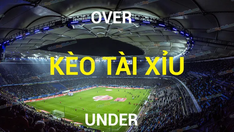 Bí Quyết Đọc Kèo Tài Xỉu Hiệp Một Thắng Lớn Mỗi Ngày
