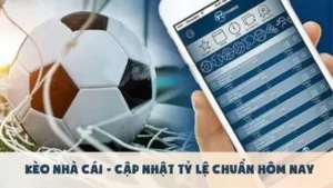 Chiến Thuật Soi Kèo Tài Xỉu Hiệp Hai Để Tối Ưu Lợi Nhuận
