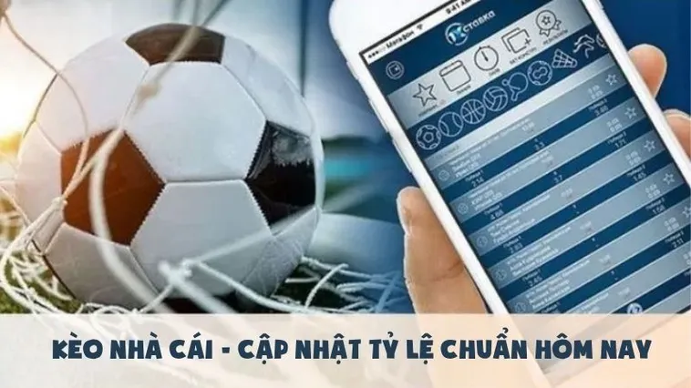 Chiến Thuật Soi Kèo Tài Xỉu Hiệp Hai Để Tối Ưu Lợi Nhuận