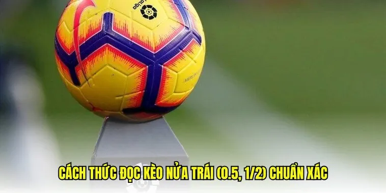 Phân Tích Kèo Chấp 0.5 Và Bí Quyết Đọc Tình Huống Trận Đấu