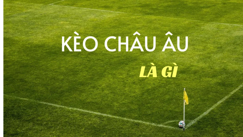 Phương Pháp Đọc Kèo Châu Âu Hiệu Quả Cho Người Mới
