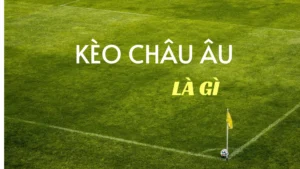 Phương Pháp Đọc Kèo Châu Âu Hiệu Quả Cho Người Mới