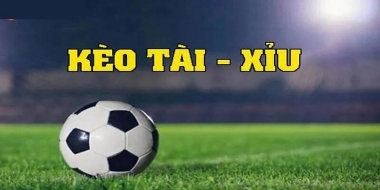 Bí Quyết Đọc Kèo Tài Xỉu Thành Công Trong Mọi Trận Đấu