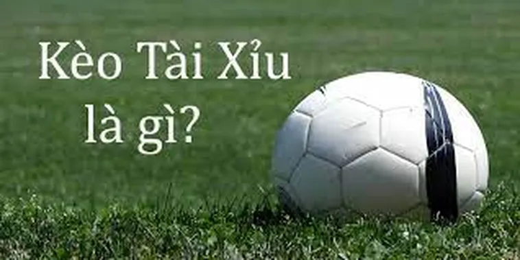 Bí Quyết Đọc Kèo Tài Xỉu Thành Công Trong Mọi Trận Đấu