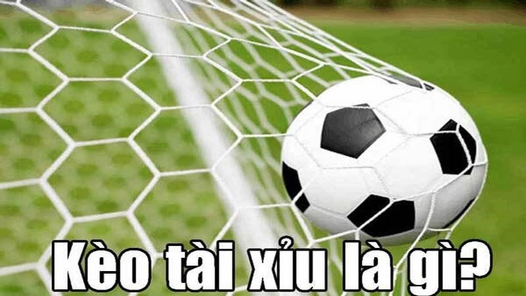 Cách Đọc Kèo Tài Xỉu Bóng Đá Cho Người Mới Bắt Đầu