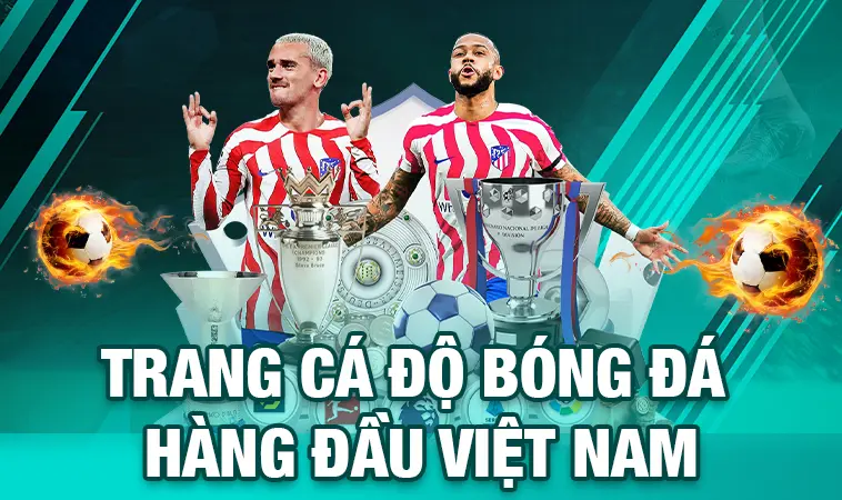 Top Trang Cá Độ Bóng Đá Uy Tín Nhất Thị Trường Việt Nam Hiện Nay