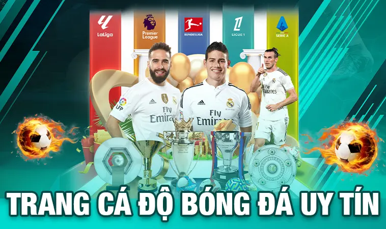 Top Trang Cá Độ Bóng Đá Uy Tín Nhất Thị Trường Việt Nam Hiện Nay