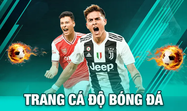 Top Trang Cá Độ Bóng Đá Uy Tín Nhất Thị Trường Việt Nam Hiện Nay